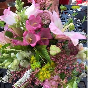 Meet your Posher, Genevieve